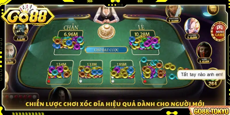 Mẹo và phương pháp đặt cược an toàn giúp người mới dễ thắng